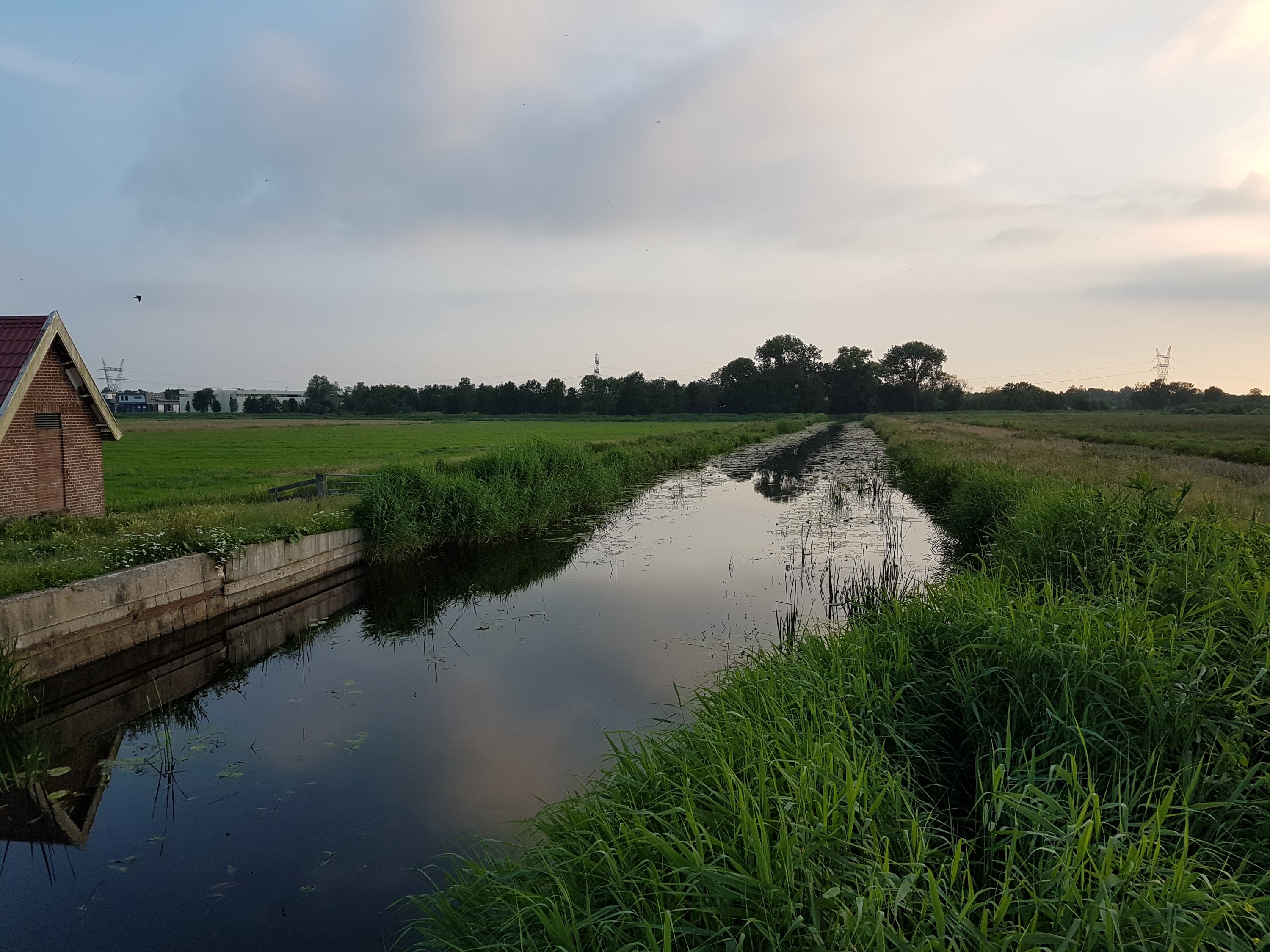 dijk meentkade zuid.jpg