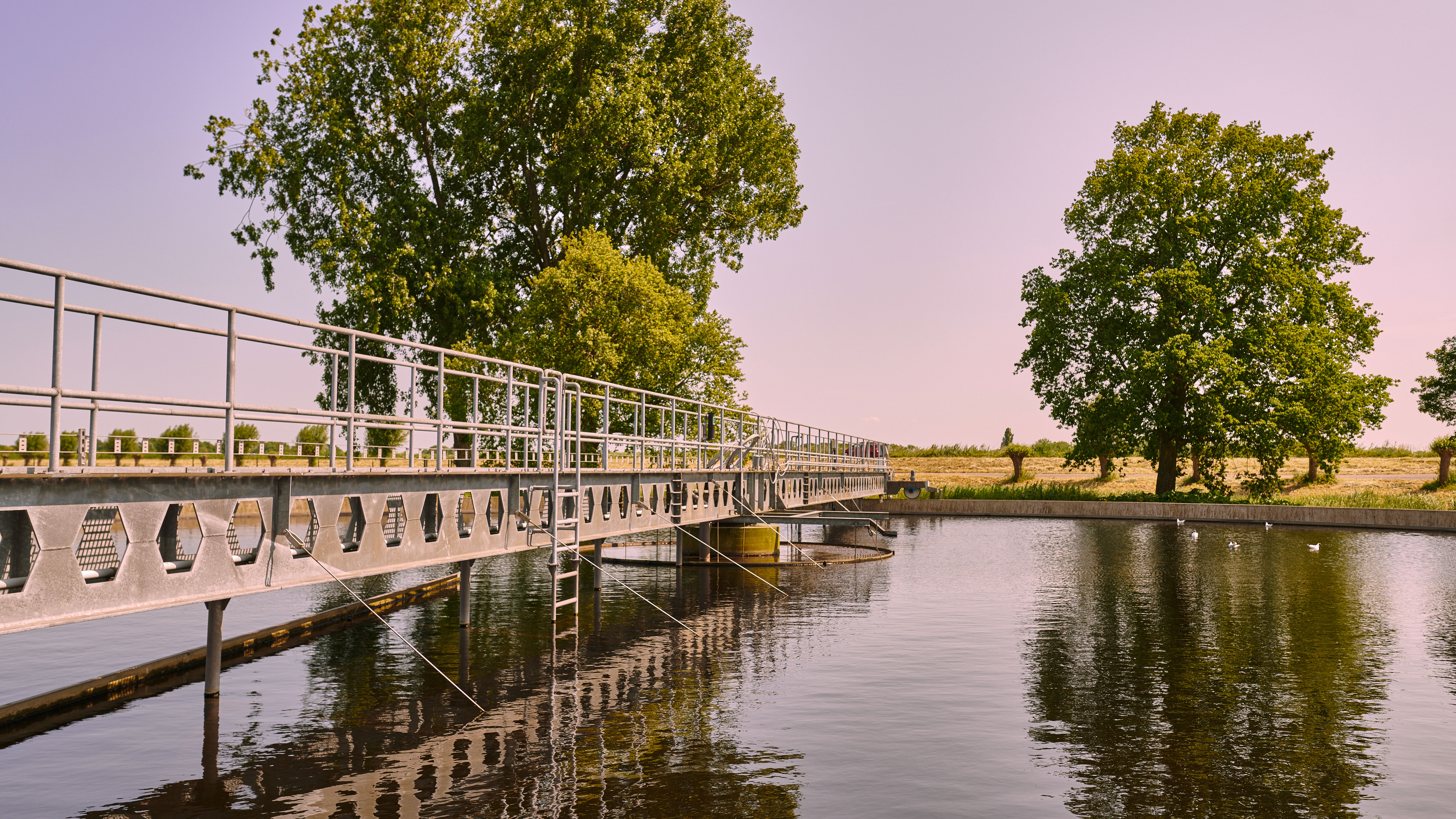 Het schone water bij de rioolwaterzuivering in Amstelveen.jpg