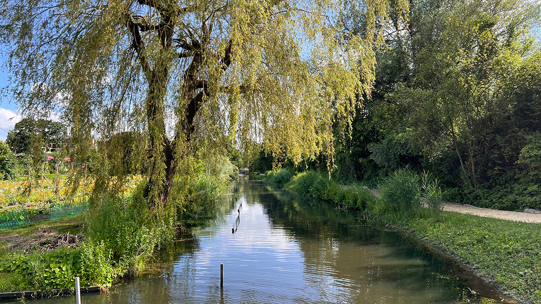 Zuiverende grachten spoorpark.jpg